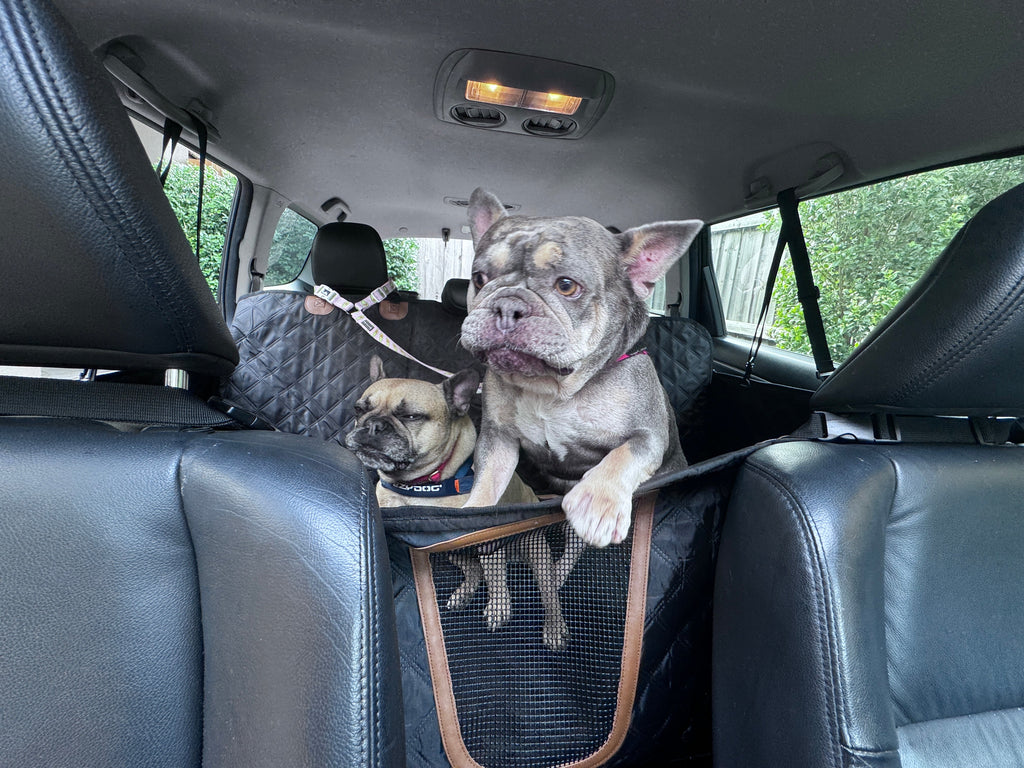 Hard-Base Pet Car-Seat Protector