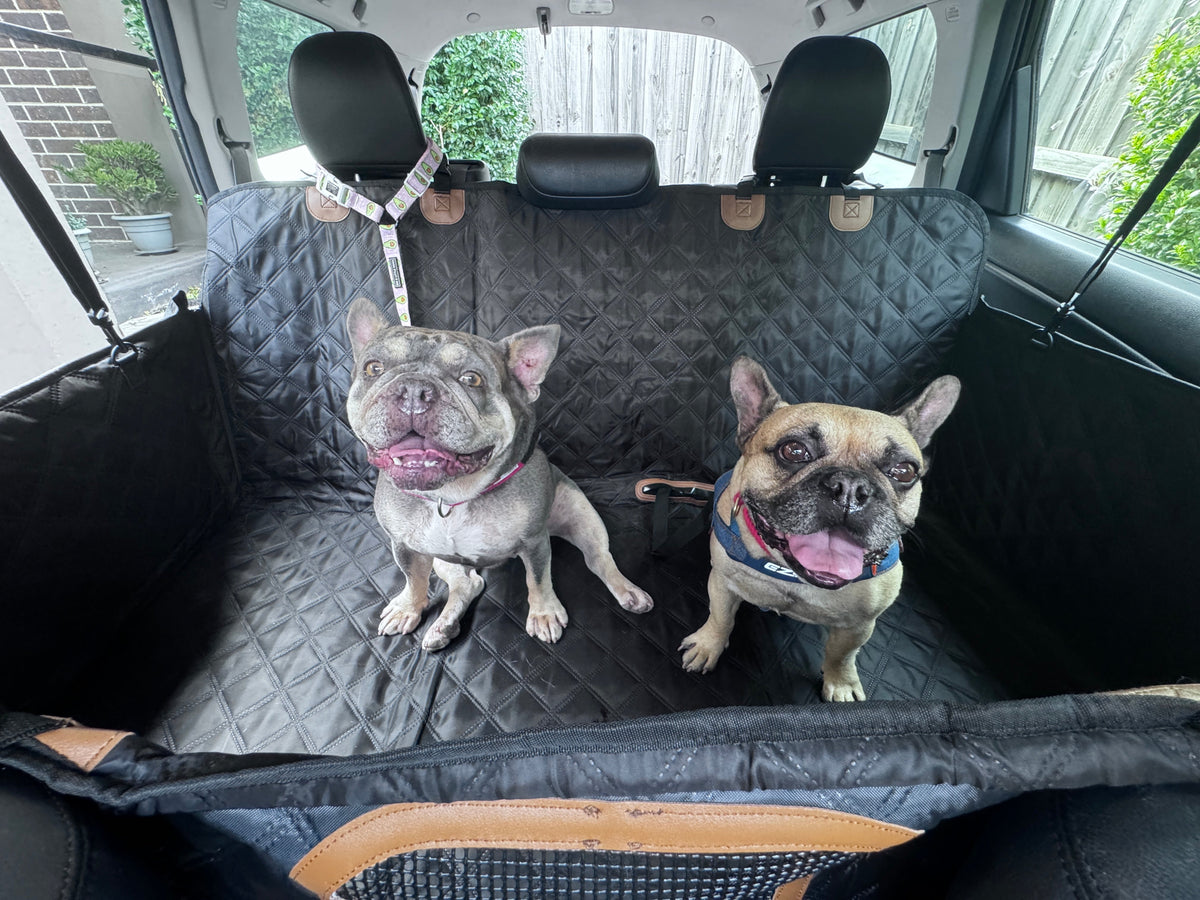 Hard-Base Pet Car-Seat Protector