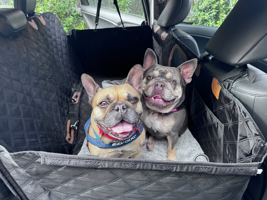 Hard-Base Pet Car-Seat Protector