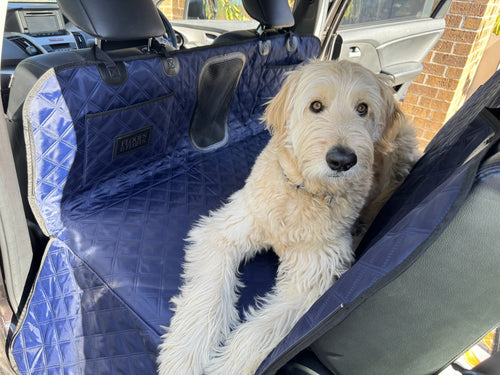 Hard-Base Pet Car-Seat Protector